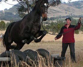 Kings Creek Saddle Club - Geraldton Accommodation 5