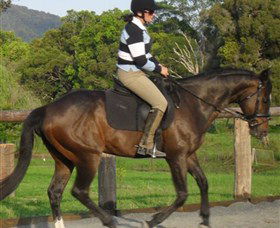 Kings Creek Saddle Club - Geraldton Accommodation 6