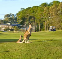 Sanctuary Cove Golf and Country Club - Geraldton Accommodation
