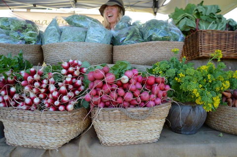 Berry Farmers' Market - Geraldton Accommodation 0