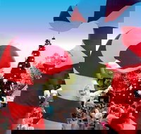 Blacktown Christmas Light Up Concert - Geraldton Accommodation