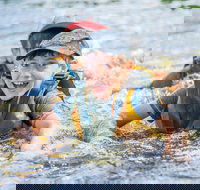 Cave Hill Creek Summer Camp - Geraldton Accommodation