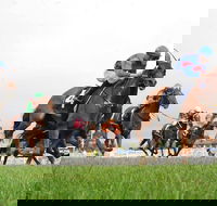 Christmas Cup Race Day - Geraldton Accommodation