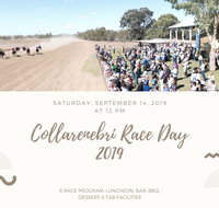 Collarenebri Races - Geraldton Accommodation