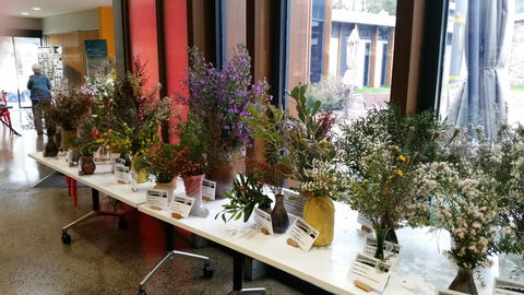 Grampians Wildflower Show - Geraldton Accommodation 0