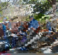 Herring Island Summer Arts Festival - Geraldton Accommodation