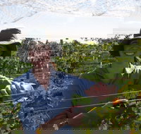 Kingsdale Wines - Cellar Door Wine Tastings - Geraldton Accommodation