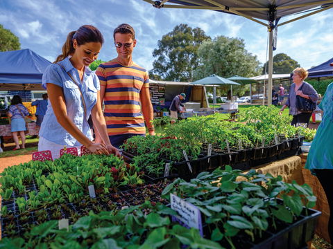 Margaret River Farmers Market - Geraldton Accommodation 1
