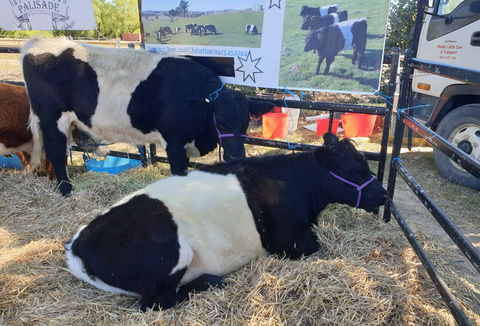 Murrumbateman Field Days - Geraldton Accommodation 2