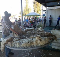 Narrabri Show - Geraldton Accommodation