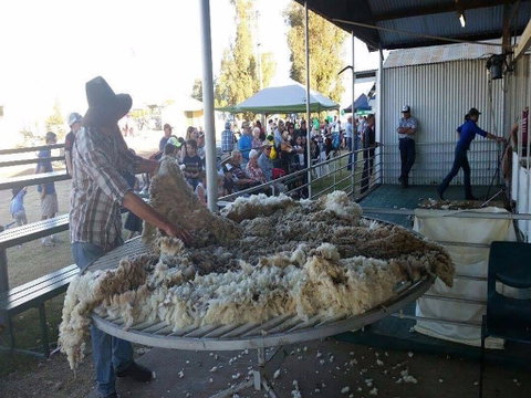Narrabri Show - Geraldton Accommodation 0