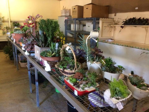 Narrabri Show - Geraldton Accommodation 2