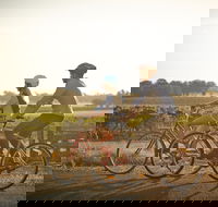 Rutherglen Gourmet Amble - Geraldton Accommodation