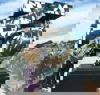 Salvador Dali Sculpture Exhibition - Geraldton Accommodation