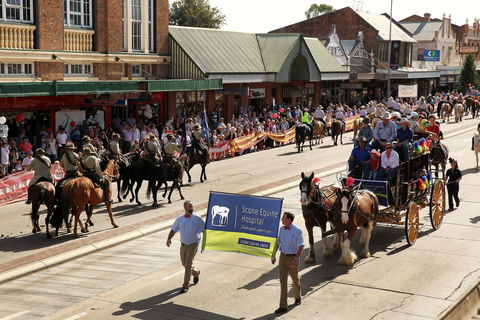 Scone Horse Festival - Geraldton Accommodation 0