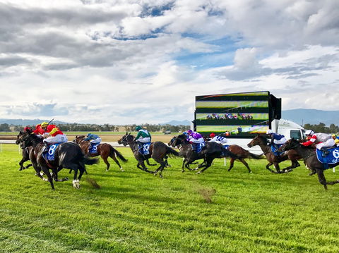 Scone Horse Festival - Geraldton Accommodation 2