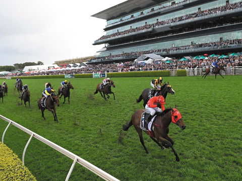 The TAB Everest: The World’s Richest Race On Turf - Geraldton Accommodation 0