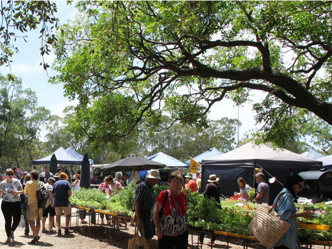 Violet Town Market - Geraldton Accommodation 2