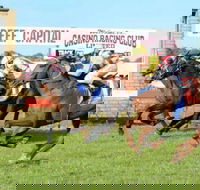 Casino Cup - Geraldton Accommodation