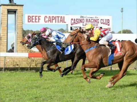 Casino Cup - Geraldton Accommodation 0