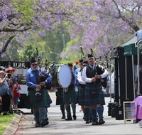 Celtic Festival of Queensland - Geraldton Accommodation