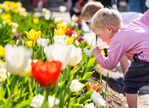 Floriade: Reimagined - Geraldton Accommodation 1