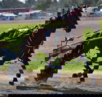 Forbes Show - Geraldton Accommodation