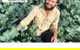 Green Connect School Of Green Living (live Webinars) - thumb 0