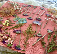 Introduction to Paper Making - Geraldton Accommodation
