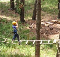 July 2020 Holidays- Go Wild at the Mt Lofty Adventure Hub - Geraldton Accommodation