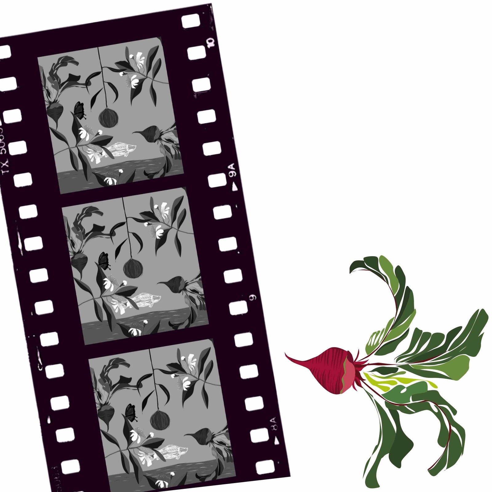 Cairns North QLD Geraldton Accommodation