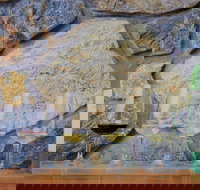 Peter Teakle Wines - Geraldton Accommodation