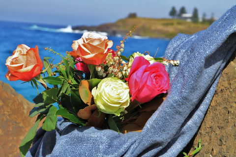 Roses By The Seaside: National Rose Championships And Conference - Geraldton Accommodation 0