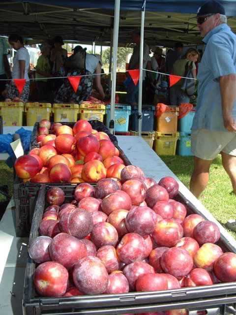 The Farmers Market On Manning - Geraldton Accommodation 0