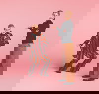 The Comedy of Errors - Geraldton Accommodation