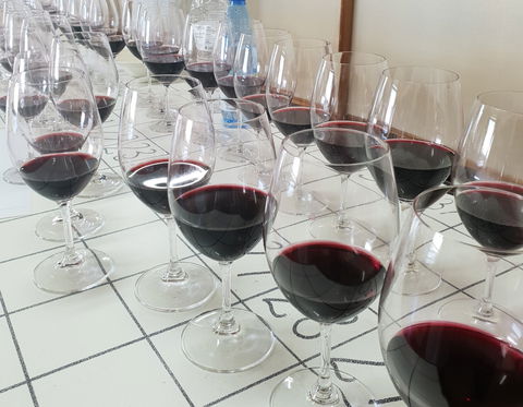 Australian Cool Climate Wine Show - Geraldton Accommodation 1