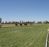Balranald Races -Derby Day - Geraldton Accommodation