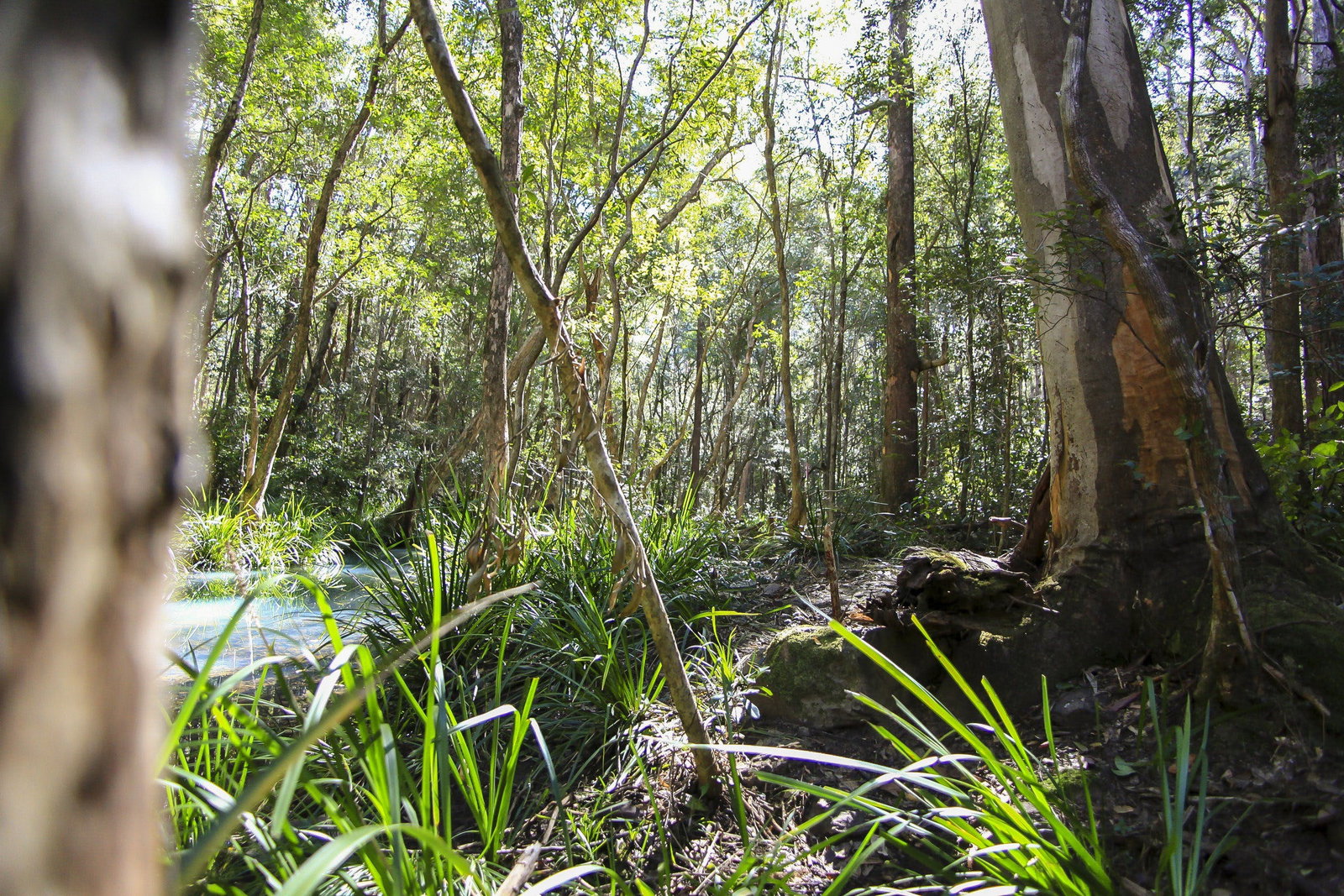 Herons Creek NSW Geraldton Accommodation