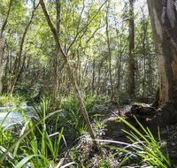 Bottlebutt Bash Trail Run - Geraldton Accommodation