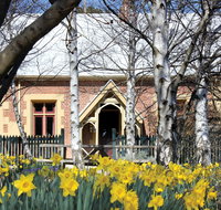 Daffodils at Rydal - Geraldton Accommodation