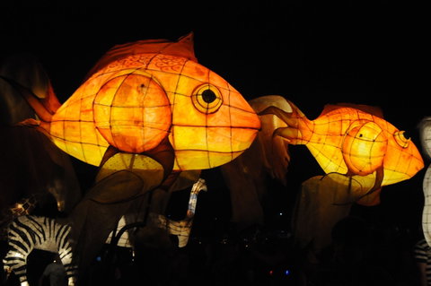 DREAM Festival: Music And Markets Event - Geraldton Accommodation 2