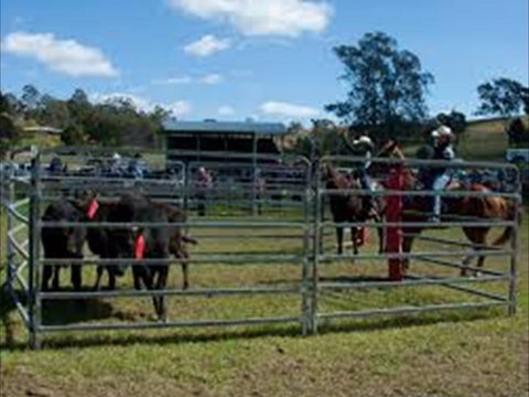 Dungog Team Penning - Geraldton Accommodation 0