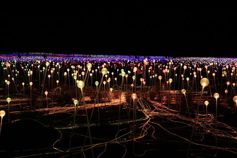 Field Of Light Uluru - Geraldton Accommodation 1