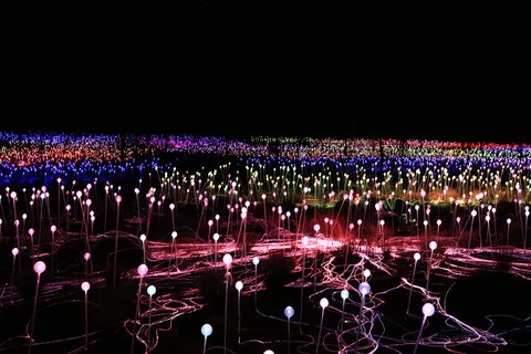 Field Of Light Uluru - Geraldton Accommodation 2