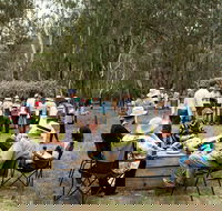 Grazing Down the Lachlan - Geraldton Accommodation