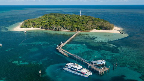 Great Adventures Green Island Ocean Swim - Geraldton Accommodation 0