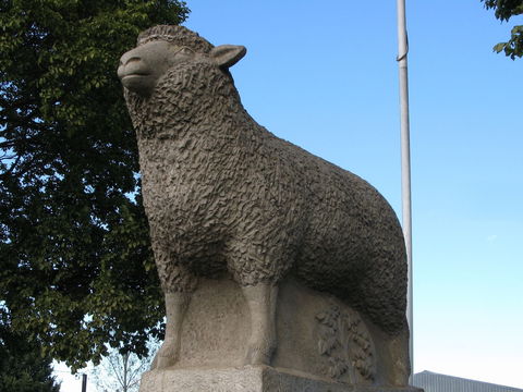 Guyra Lamb And Potato Festival - Geraldton Accommodation 0
