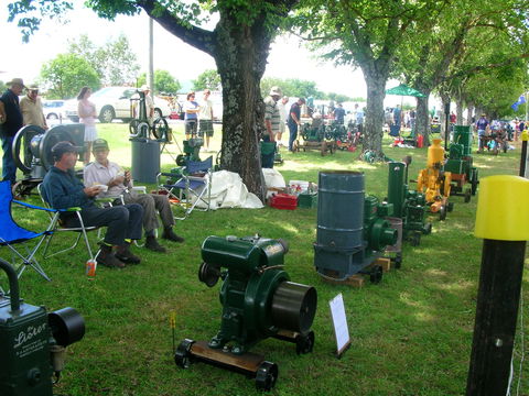 Guyra Lamb And Potato Festival - Geraldton Accommodation 2