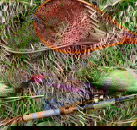 Guyra TroutFest - Geraldton Accommodation