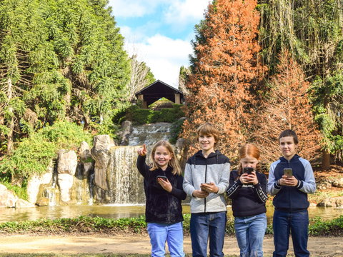 Hunter Valley Gardens Virtual Treasure Trail - Geraldton Accommodation 1